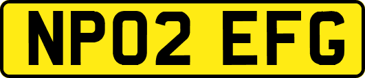 NP02EFG