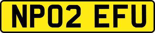NP02EFU