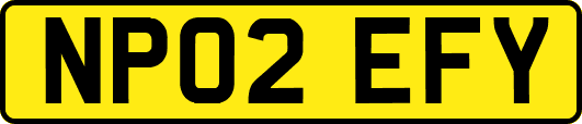NP02EFY