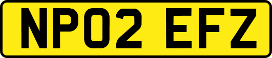 NP02EFZ
