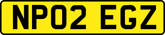 NP02EGZ