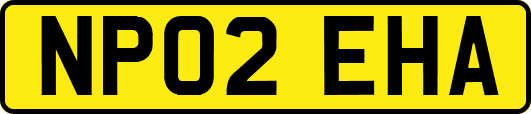 NP02EHA