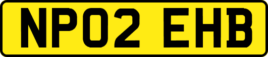 NP02EHB