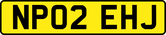 NP02EHJ