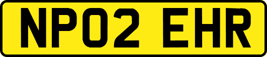 NP02EHR