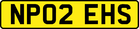 NP02EHS