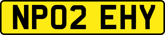 NP02EHY