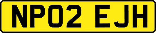 NP02EJH