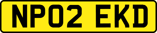 NP02EKD
