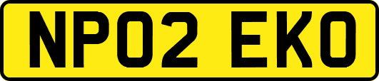 NP02EKO