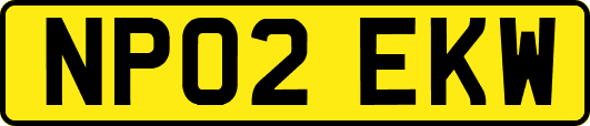NP02EKW