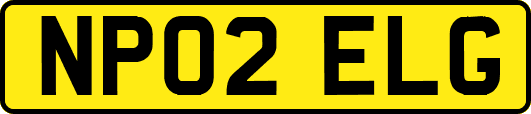 NP02ELG