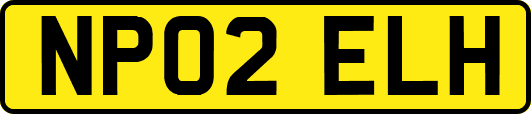 NP02ELH