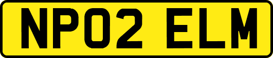 NP02ELM