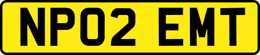 NP02EMT