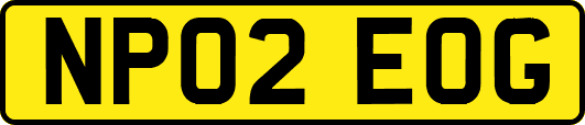 NP02EOG