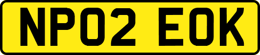 NP02EOK