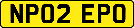 NP02EPO