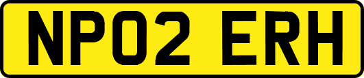 NP02ERH