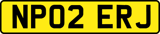 NP02ERJ