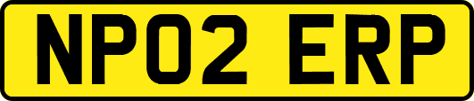 NP02ERP