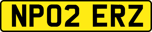 NP02ERZ