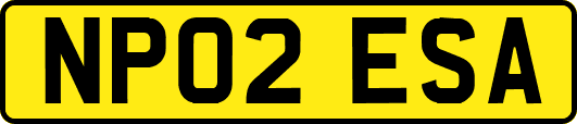 NP02ESA