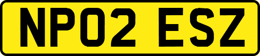 NP02ESZ