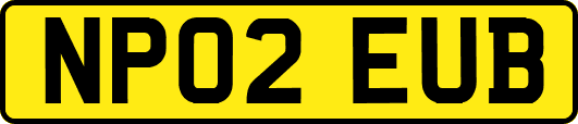 NP02EUB