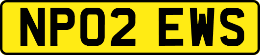 NP02EWS