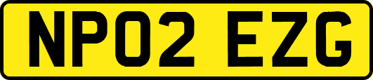 NP02EZG