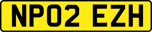 NP02EZH