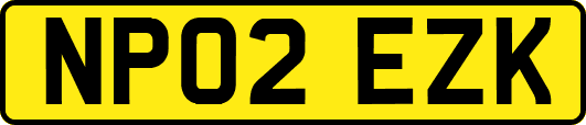 NP02EZK