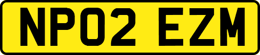 NP02EZM