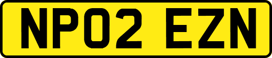 NP02EZN
