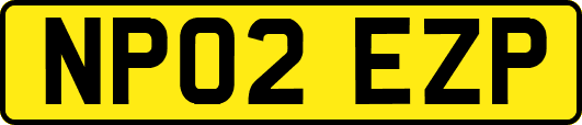 NP02EZP
