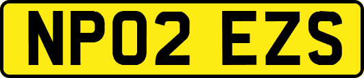 NP02EZS