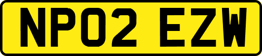 NP02EZW
