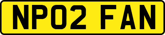 NP02FAN