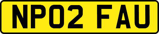 NP02FAU