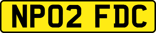 NP02FDC