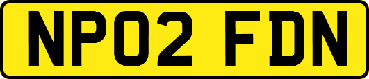 NP02FDN