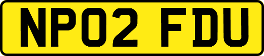 NP02FDU