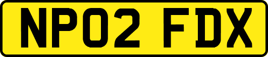 NP02FDX