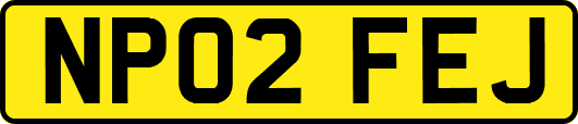 NP02FEJ