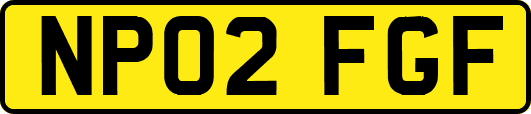 NP02FGF