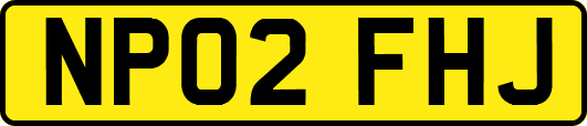 NP02FHJ