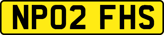 NP02FHS