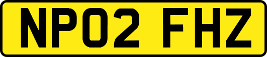NP02FHZ
