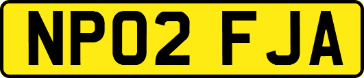 NP02FJA